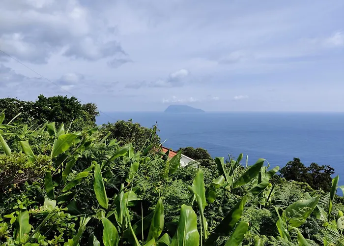 Ocean View Cedros