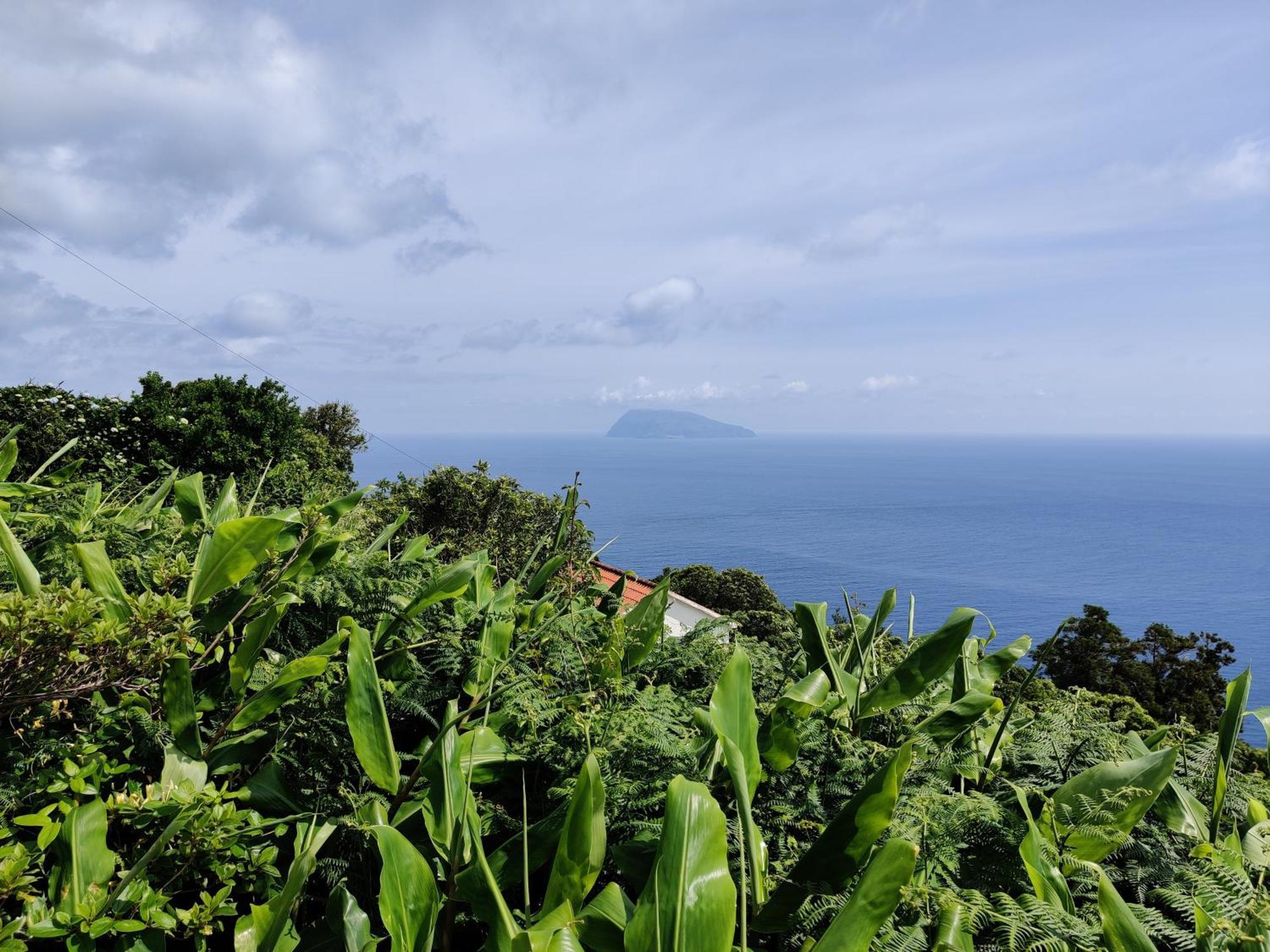 Ocean View Cedros Santa Cruz das Flores